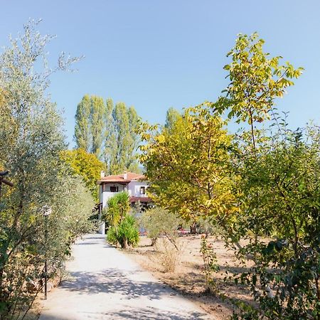 Diamond Farm Villa Кала Нера Екстериор снимка