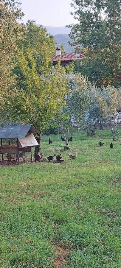 Diamond Farm Villa Кала Нера Екстериор снимка