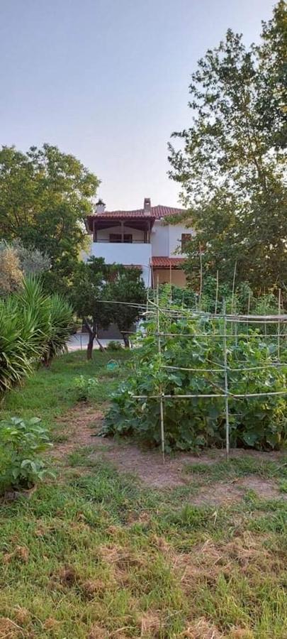 Diamond Farm Villa Кала Нера Екстериор снимка