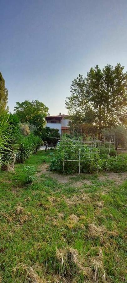 Diamond Farm Villa Кала Нера Екстериор снимка