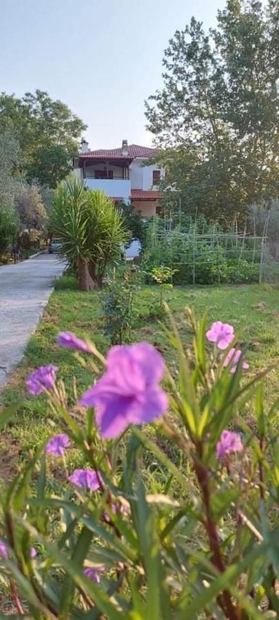 Diamond Farm Villa Кала Нера Екстериор снимка